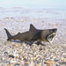 Basking Shark Toy | Sea Life | Safari Ltd®