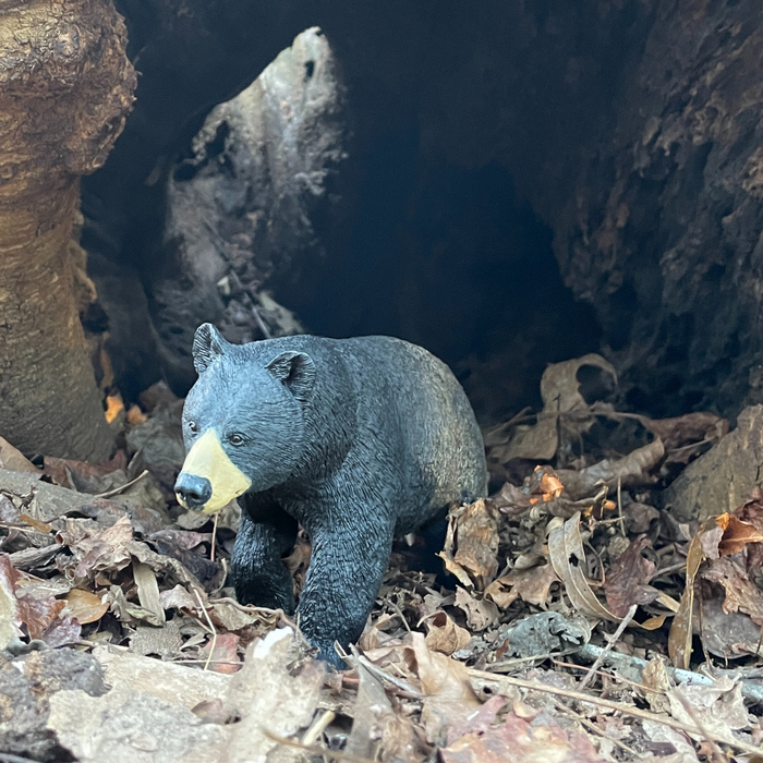 Black Bear Toy | Wildlife Animal Toys | Safari Ltd®