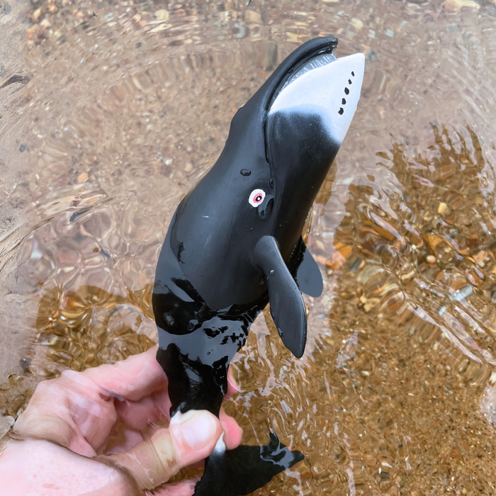 Bowhead Whale Toy | Sea Life | Safari Ltd®