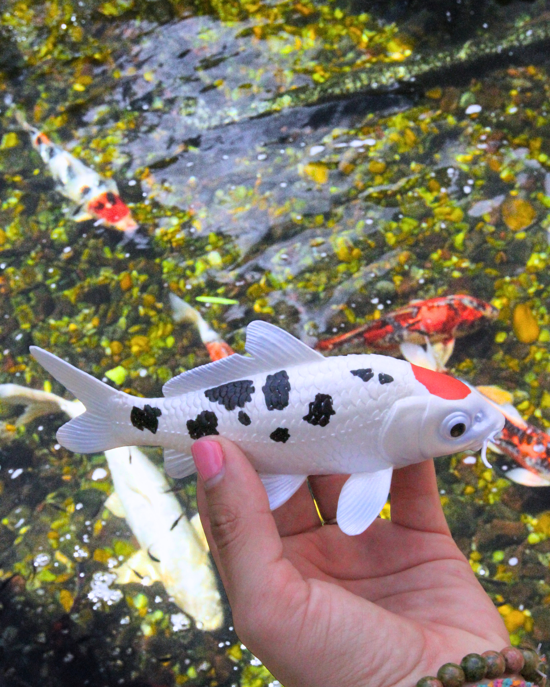 Koi Fish - Tancho Toy