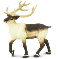 Christmas Safari Bundle