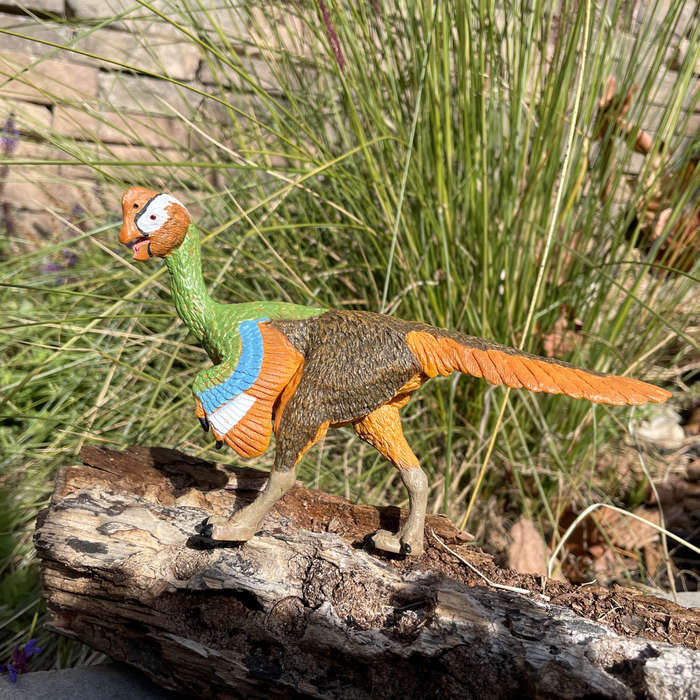 Citipati Toy | Dinosaur Toys | Safari Ltd®