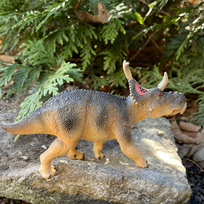 Diabloceratops Toy | Dinosaur Toys | Safari Ltd®