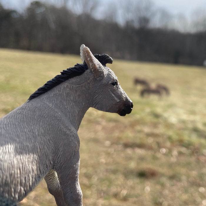 Donkey Toy | Farm | Safari Ltd®