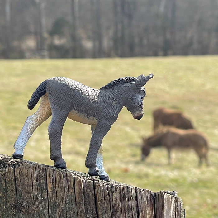 Donkey Foal Toy | Farm | Safari Ltd®