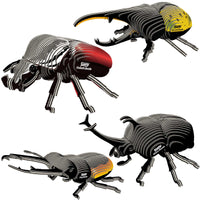 Beetles Bundle