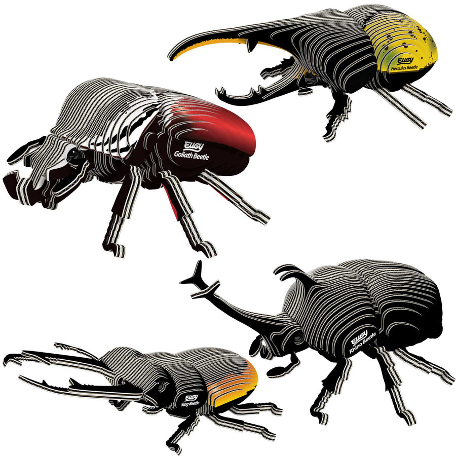 Beetles Bundle