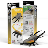 Beetles Bundle