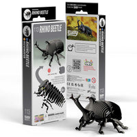 Beetles Bundle