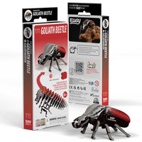 Beetles Bundle