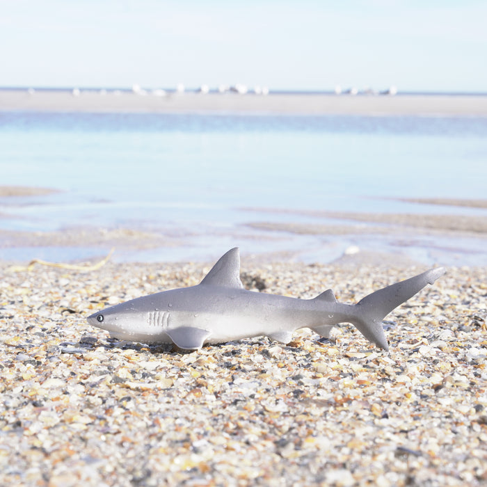 Gray Reef Shark Toy | Sea Life | Safari Ltd®
