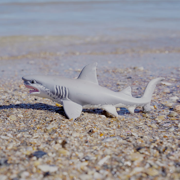 Great White Shark Toy | Sea Life | Safari Ltd®