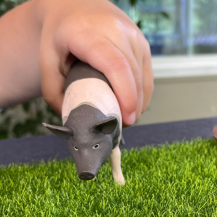 Hampshire Pig Toy | Farm | Safari Ltd®