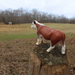Hereford Cow Toy | Farm | Safari Ltd®