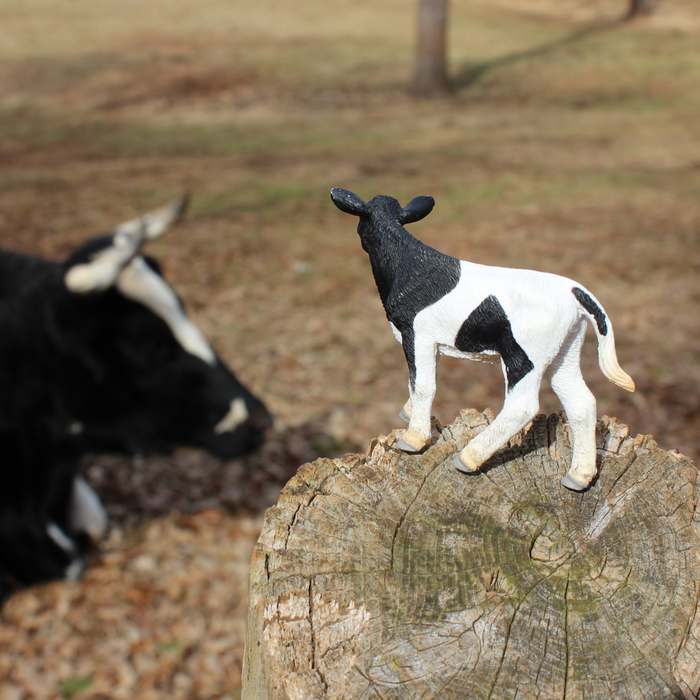 Holstein Calf Toy | Farm | Safari Ltd®