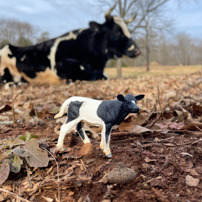Holstein Calf Toy | Farm | Safari Ltd®