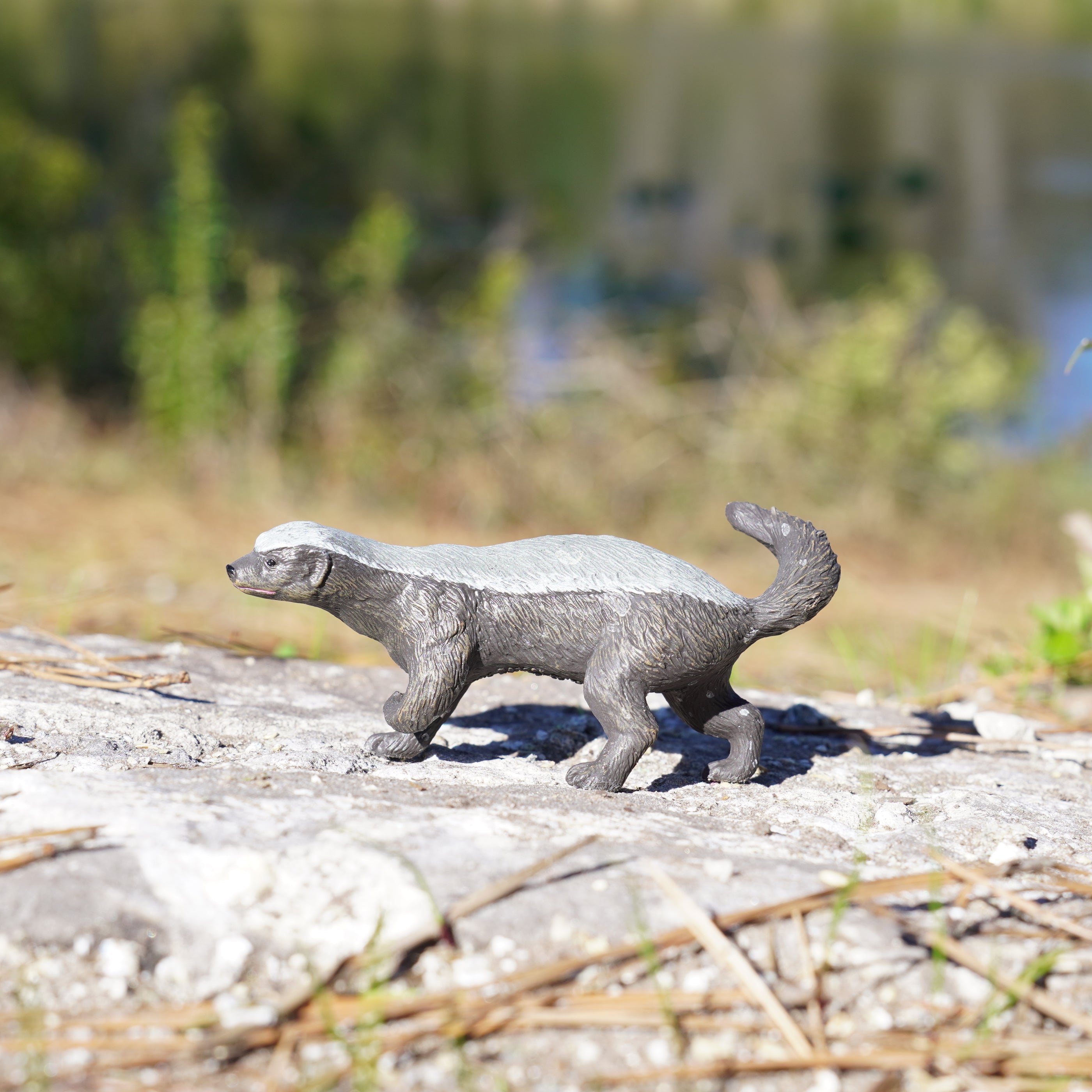 Honey Badger Toy Wildlife Animal Toys Safari Ltd®