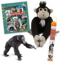 Mini Jane Bundle