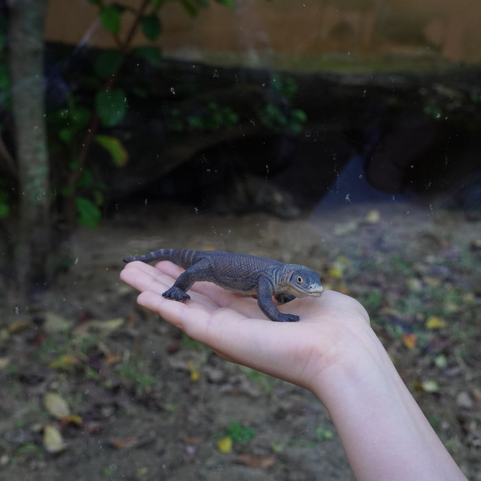 Komodo Dragon Toy | Wildlife Animal Toys | Safari Ltd®