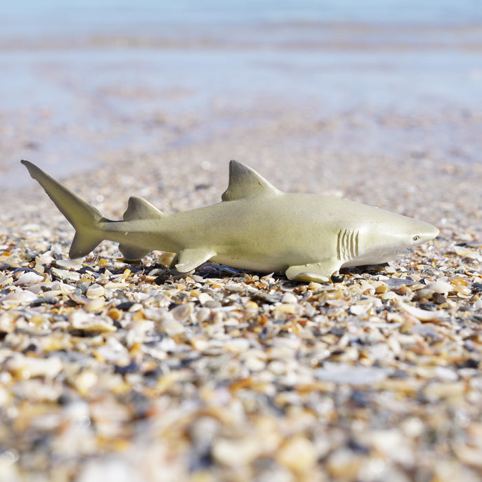Lemon Shark Toy | Sea Life | Safari Ltd®
