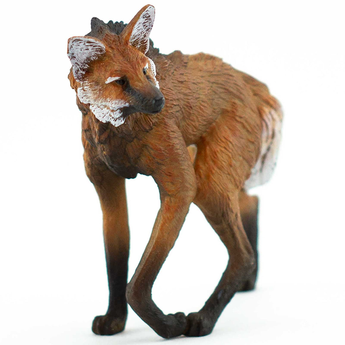 Meat-eating Mammals