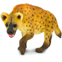 Meat-eating Mammals