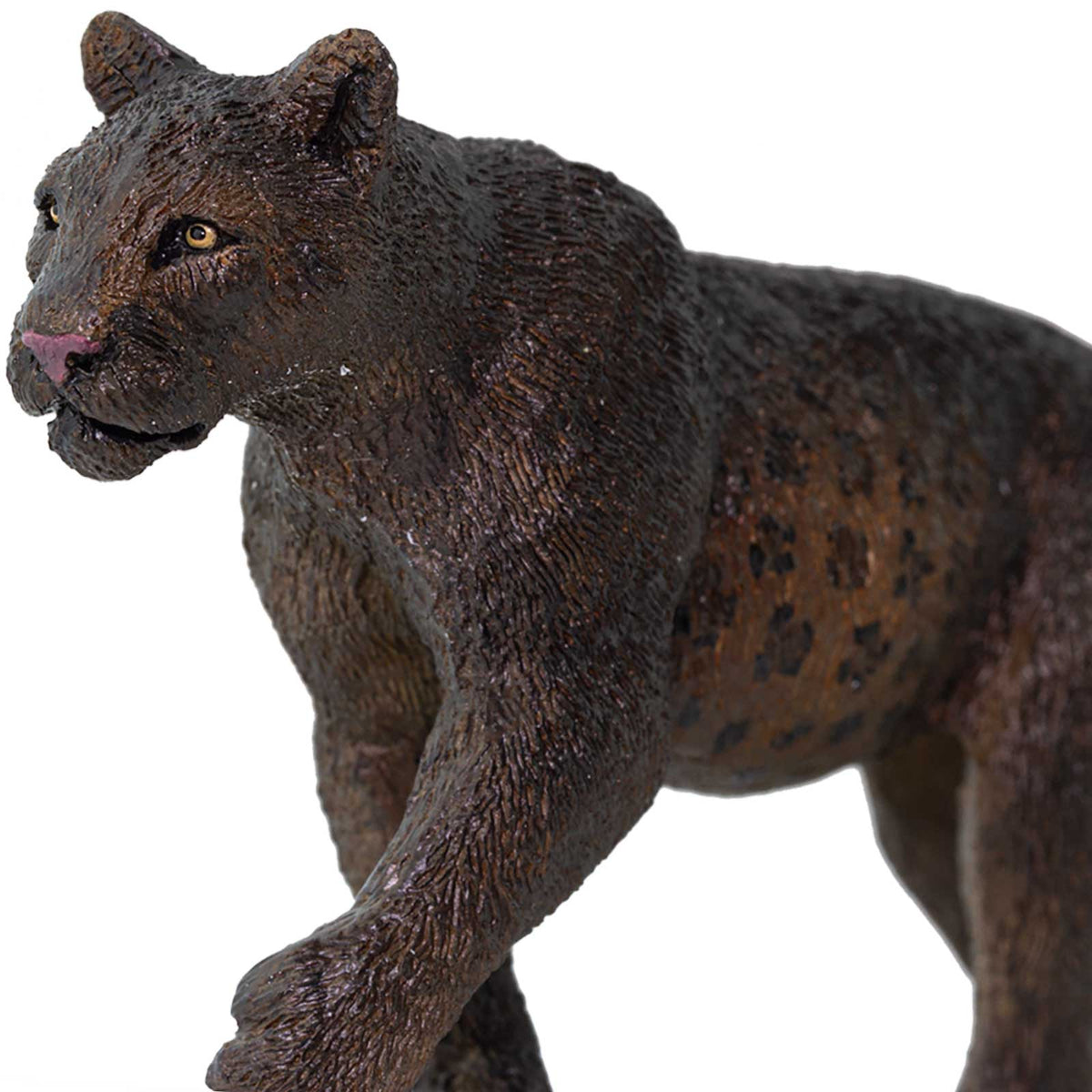 Meat-eating Mammals