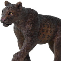 Meat-eating Mammals