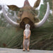 Meerkat Toy | Wildlife Animal Toys | Safari Ltd®