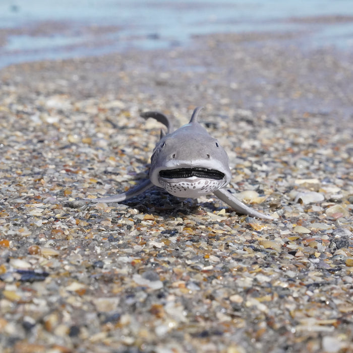 Megamouth Shark Toy | Sea Life | Safari Ltd®