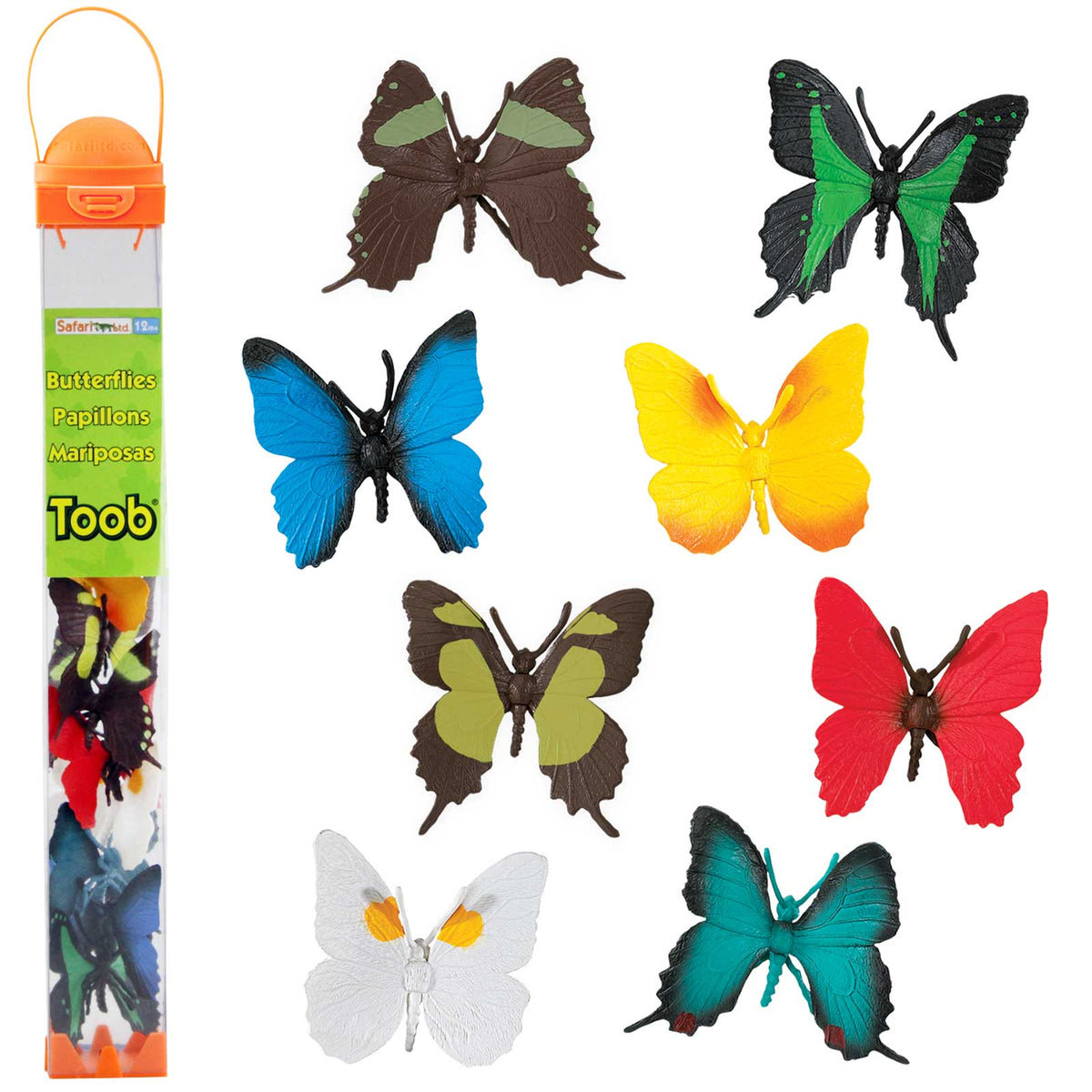 Metamorphosis Bundle