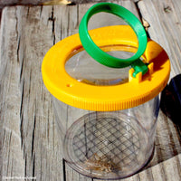 Metamorphosis Bundle