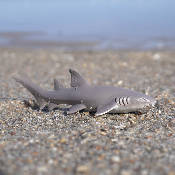 Nurse Shark Toy | Sea Life | Safari Ltd®