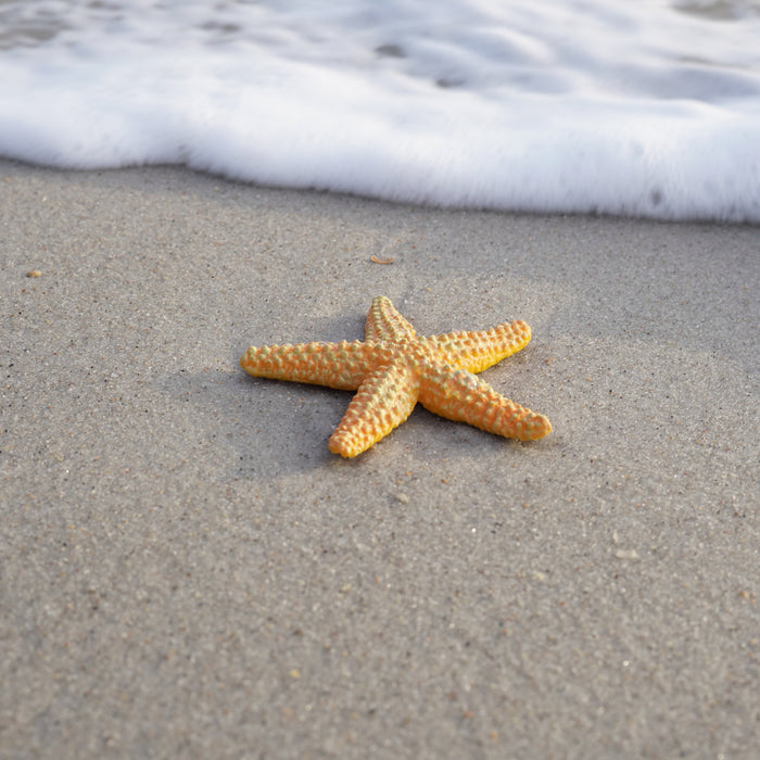 Orange Starfish Toy | Sea Life | Safari Ltd®