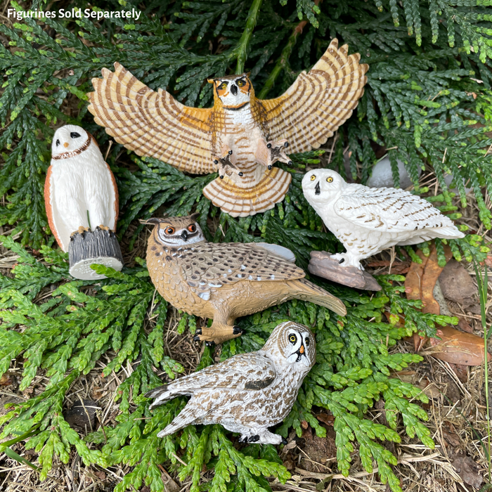 Snowy Owl Toy | Wildlife Animal Toys | Safari Ltd®
