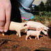 Piglet Toy | Farm | Safari Ltd®