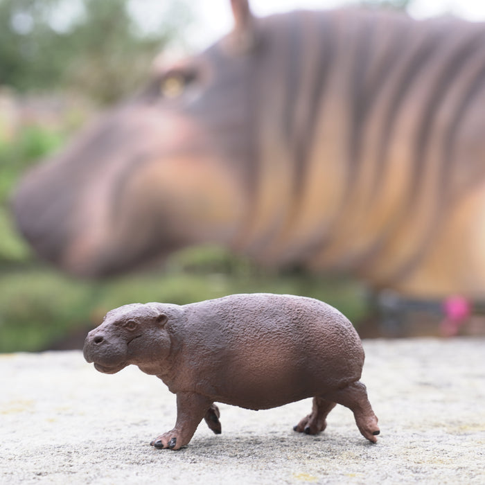 Pygmy Hippo Toy | Wildlife Animal Toys | Safari Ltd®