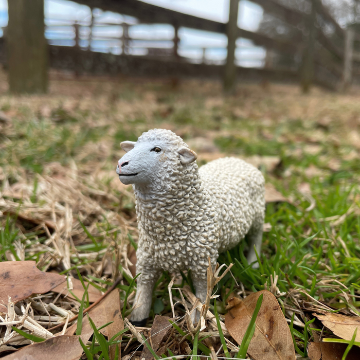 Sheep | Farm | Safari Ltd®