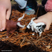 Texas Longhorn Bull | Farm | Safari Ltd®