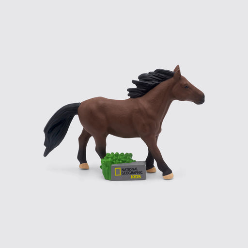 NATIONAL GEOGRAPHIC - HORSE |  | Safari Ltd®
