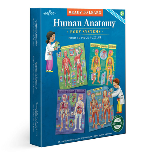 Ready to Learn- Human Anatomy
48Pc Set |  | Safari Ltd®