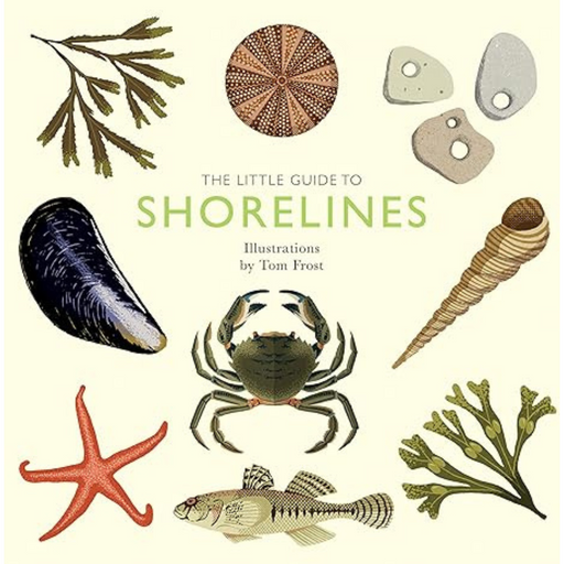 Little Guide to Shorelines |  | Safari Ltd®