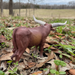 Watusi Bull Toy | Farm | Safari Ltd®