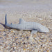 Whale Shark Toy | Sea Life | Safari Ltd®