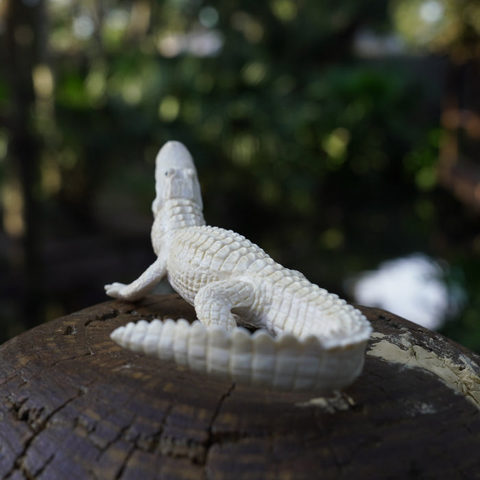 White Alligator Toy | Wildlife Animal Toys | Safari Ltd®