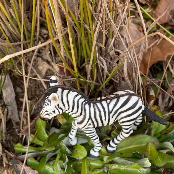 Zebra Foal Toy | Wildlife Animal Toys | Safari Ltd®