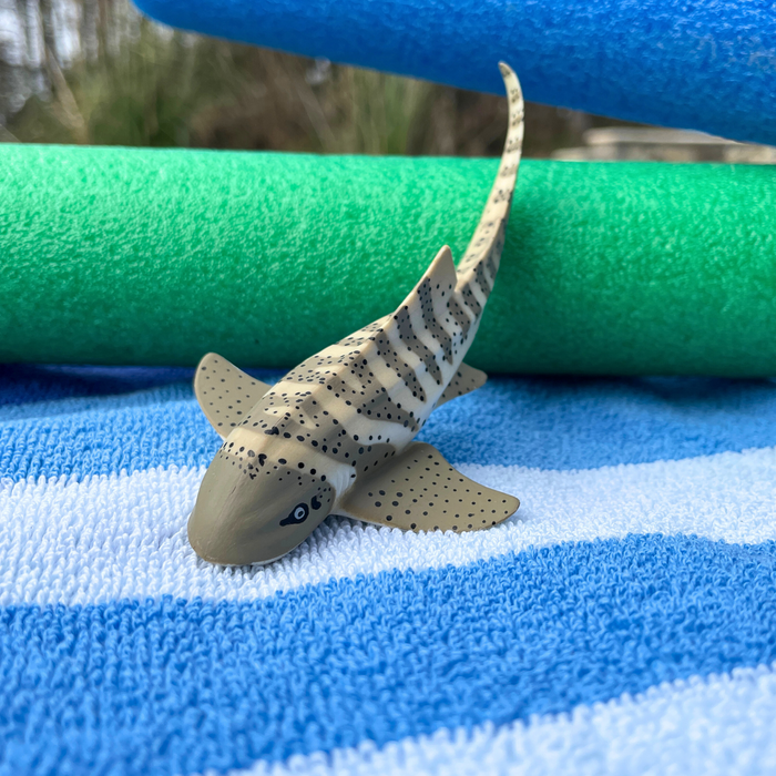 Zebra Shark Toy | Sea Life | Safari Ltd®