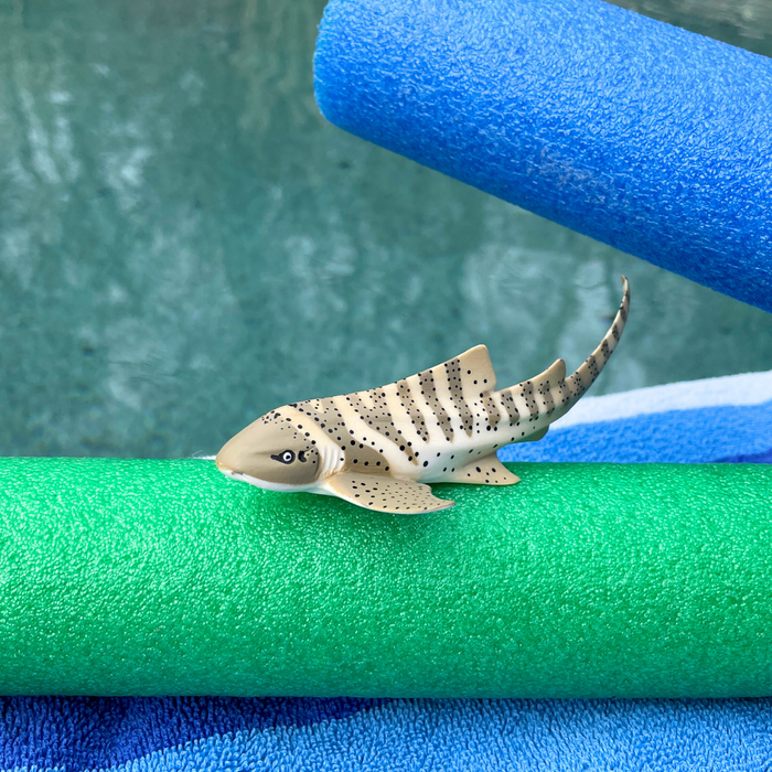 Zebra Shark Toy | Sea Life | Safari Ltd®