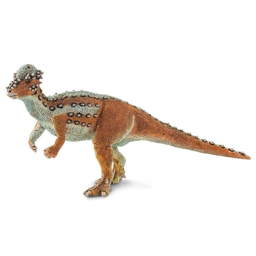 Pachycephalosaurus Figure – Dinosaur Toy for Kids, Boys and Girls