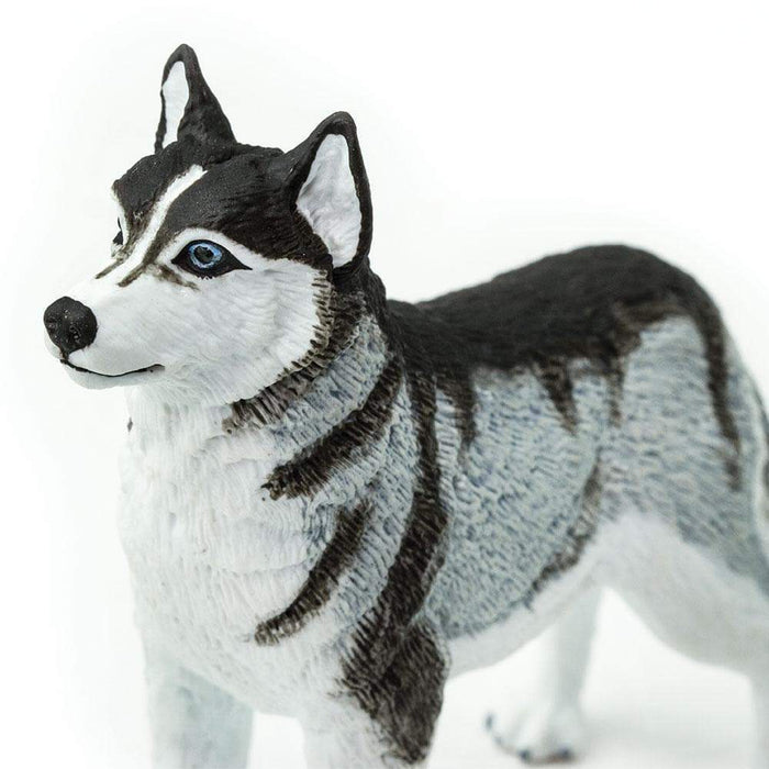 Siberian Husky Toy | Farm | Safari Ltd®